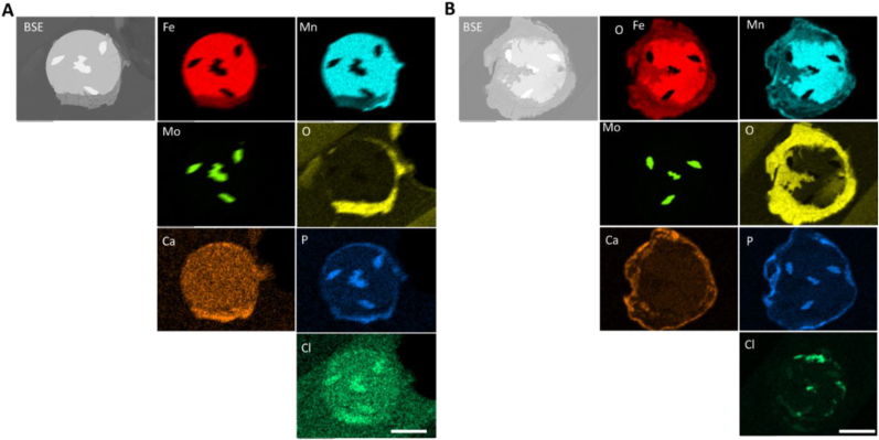 Fig. 7