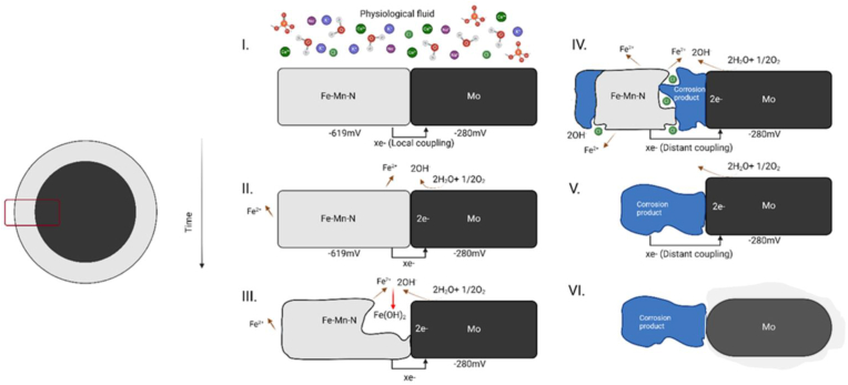 Fig. 11