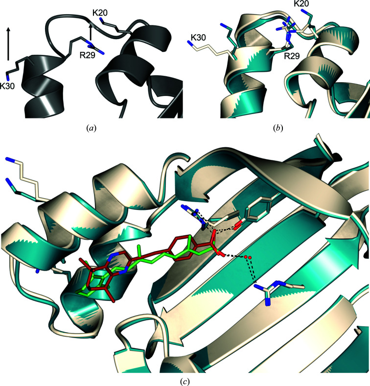 Figure 7