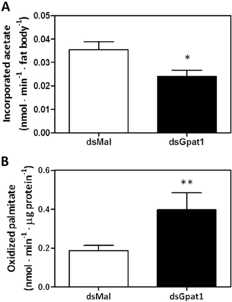 Fig. 9.