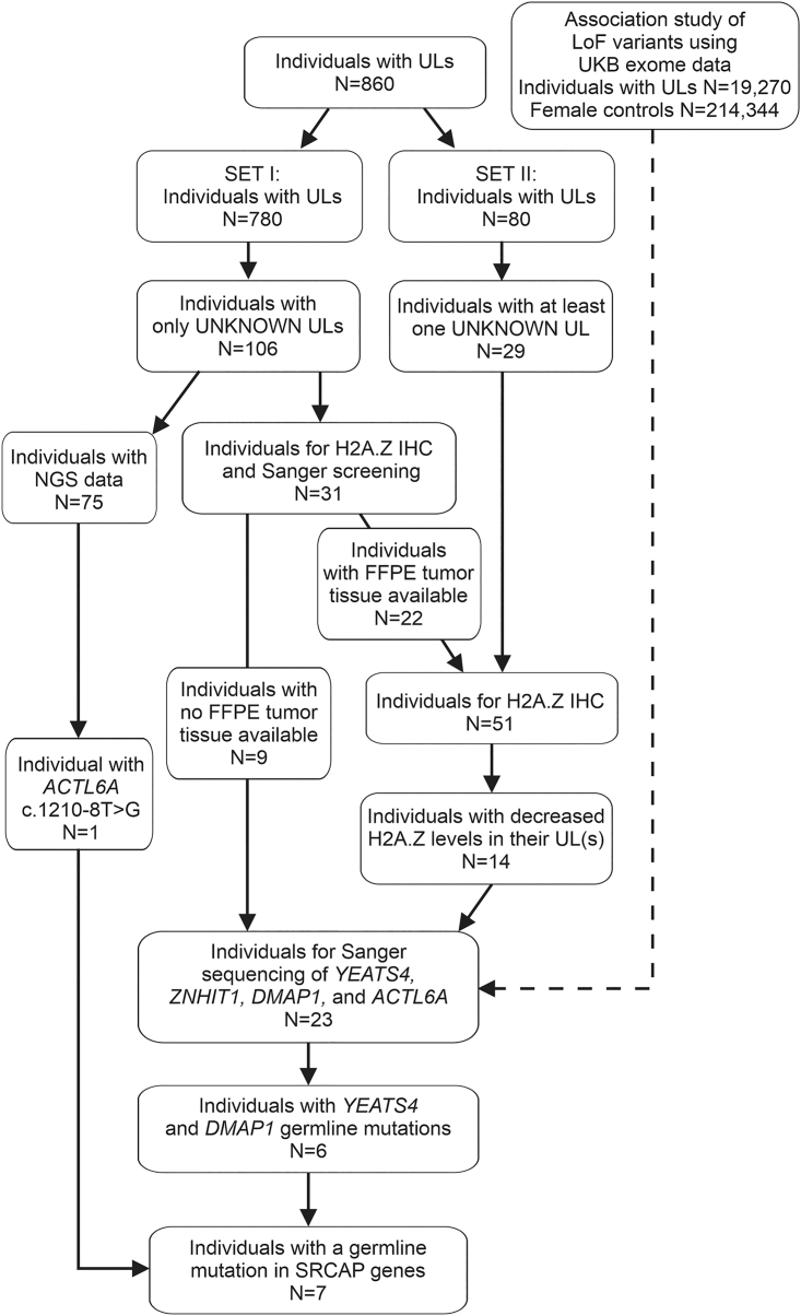 Figure 1