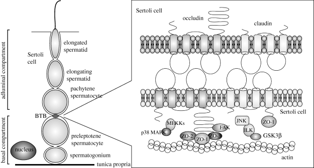 Figure 2.