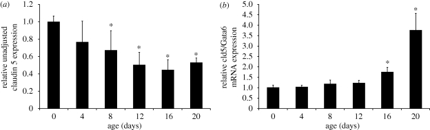 Figure 5.