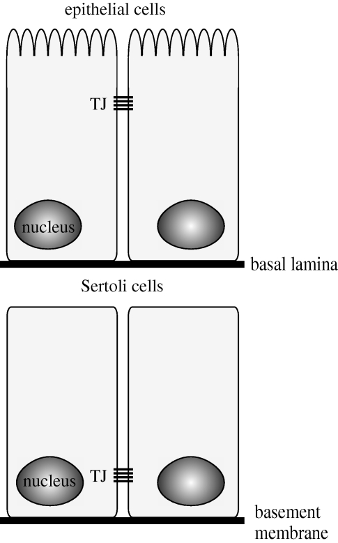 Figure 3.