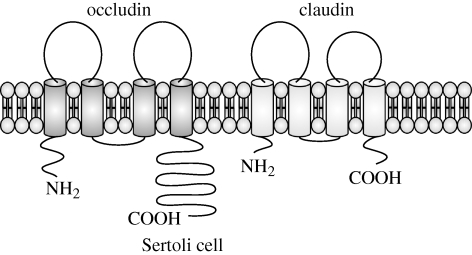 Figure 1.