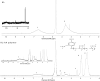 Fig. 12