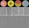 Fig. 34