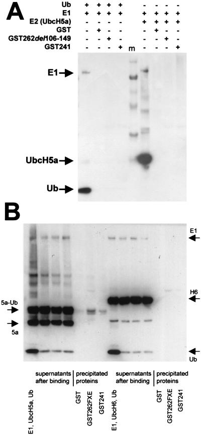 FIG. 6.