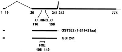 FIG. 1.