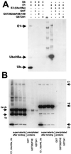 FIG. 6.