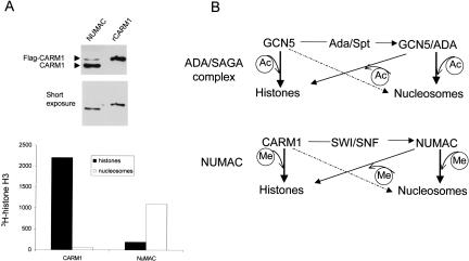 Figure 7.