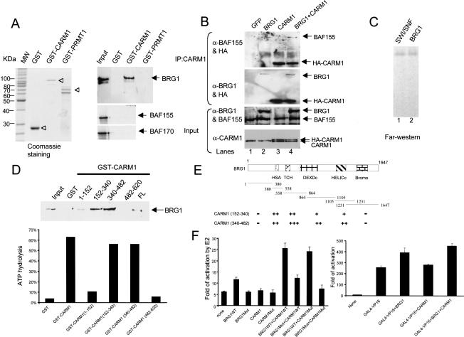 Figure 6.