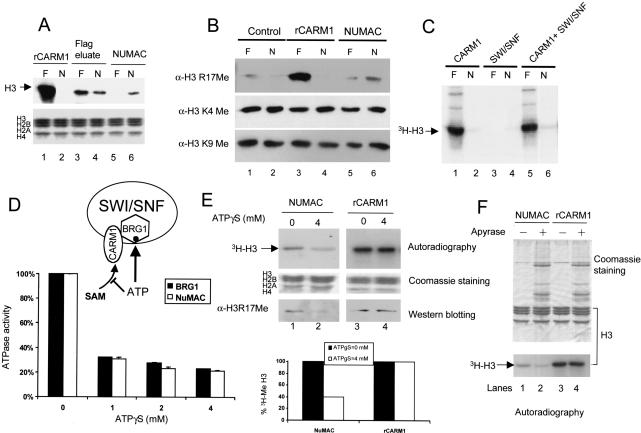 Figure 2.