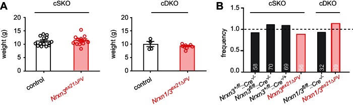 Figure 4—figure supplement 1.