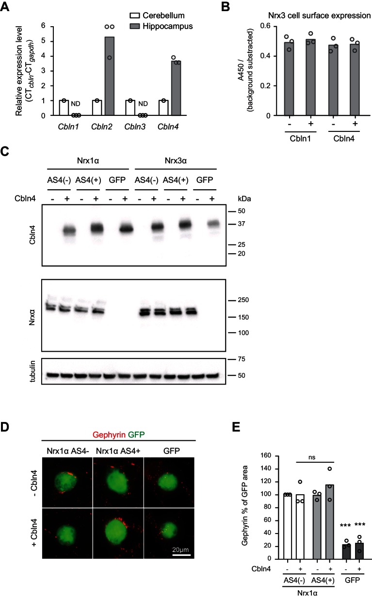 Figure 3—figure supplement 1.