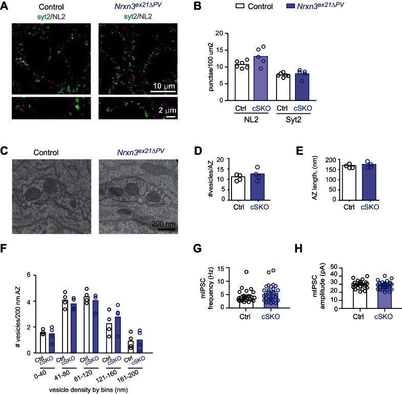 Figure 5—figure supplement 1.