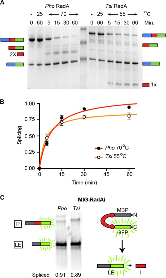 FIG 2 