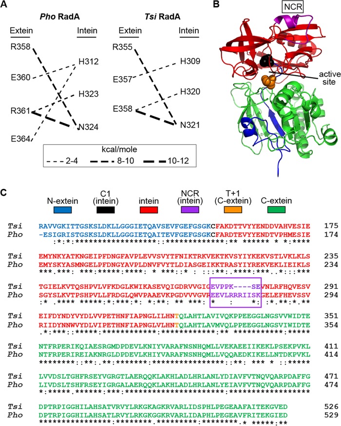 FIG 3 