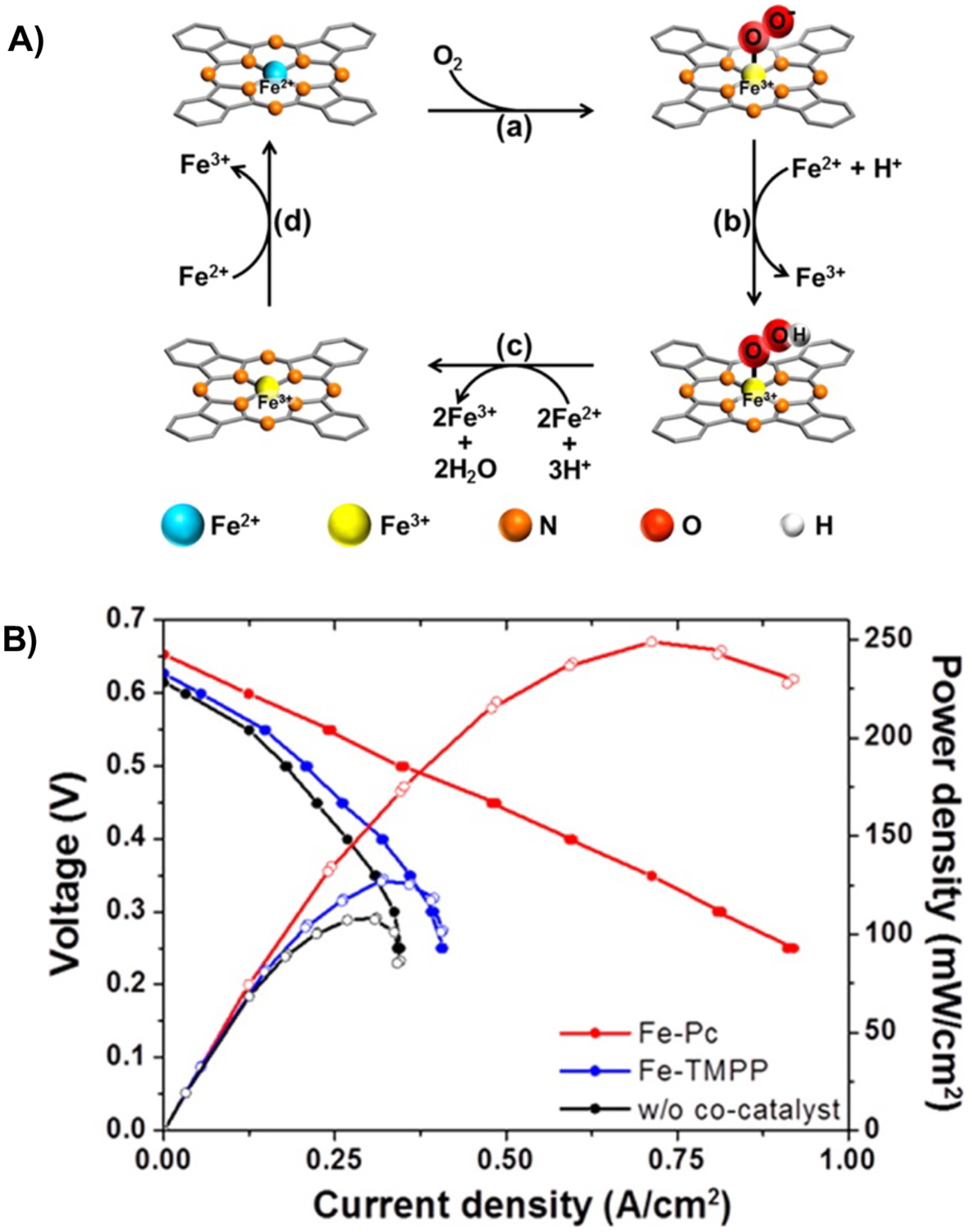 Figure 14.