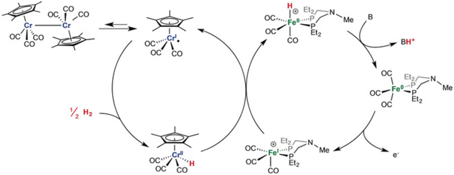 Figure 43.