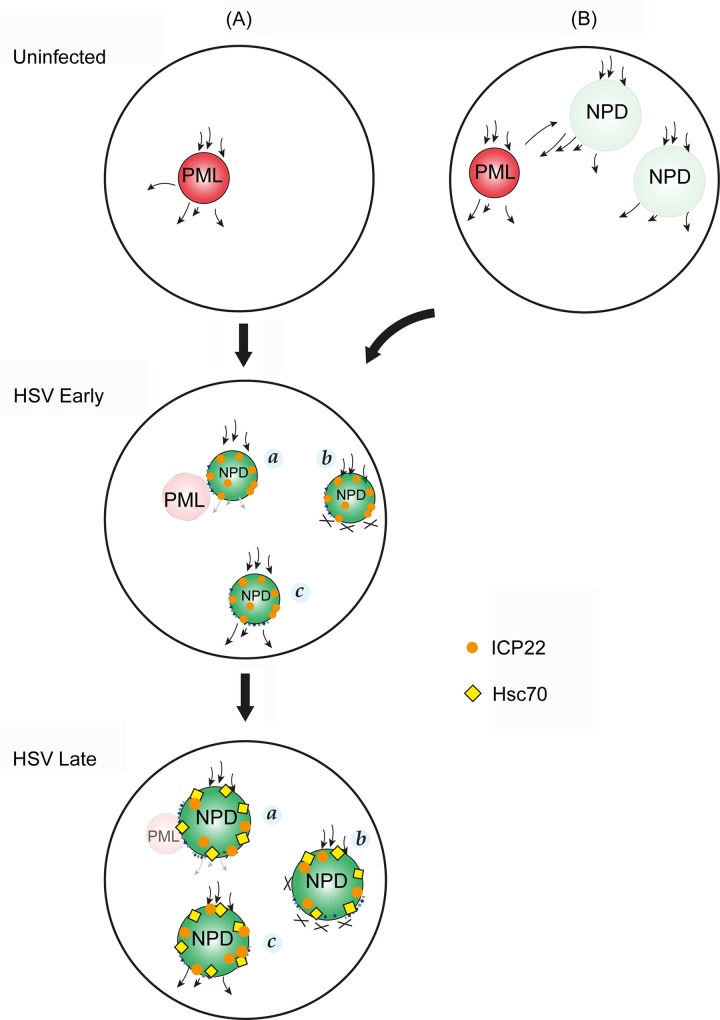 Fig 15