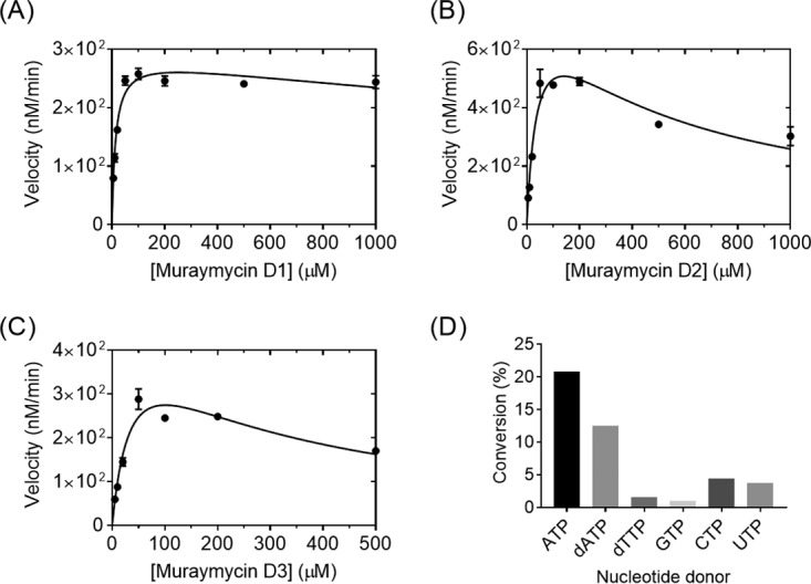 FIG 3