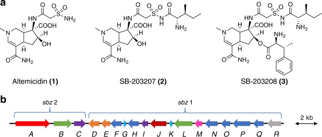 Fig. 1