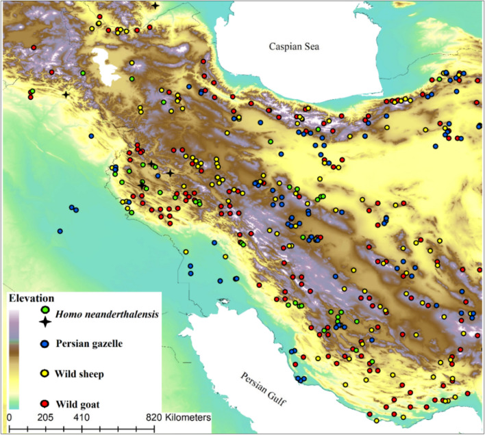 Figure 6