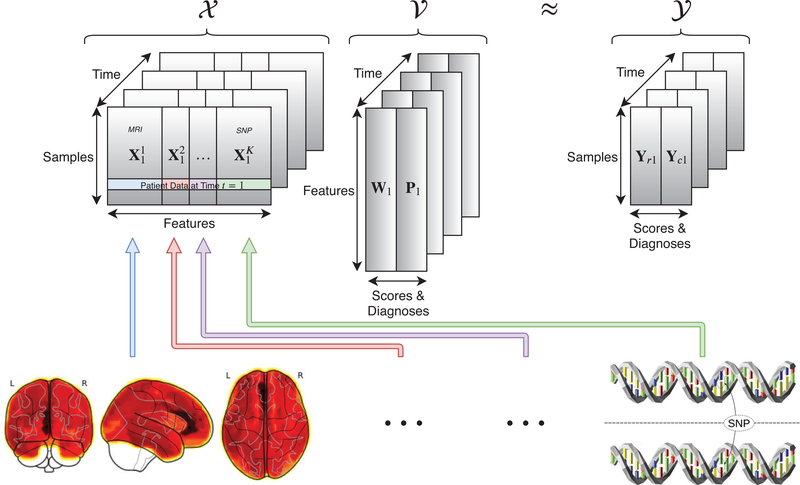 Fig. 1.