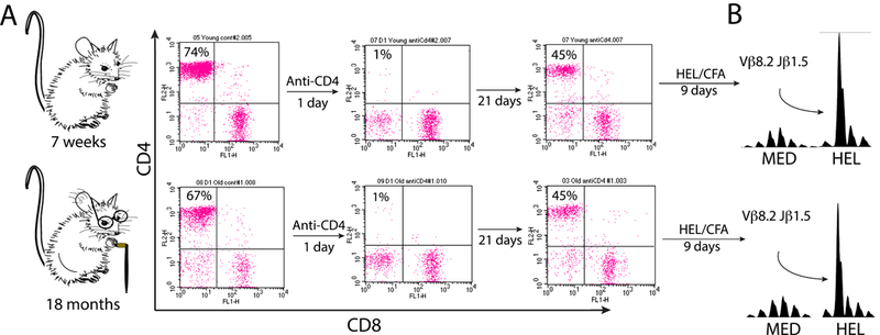 Fig 4.