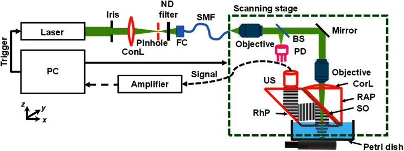 Fig. 1