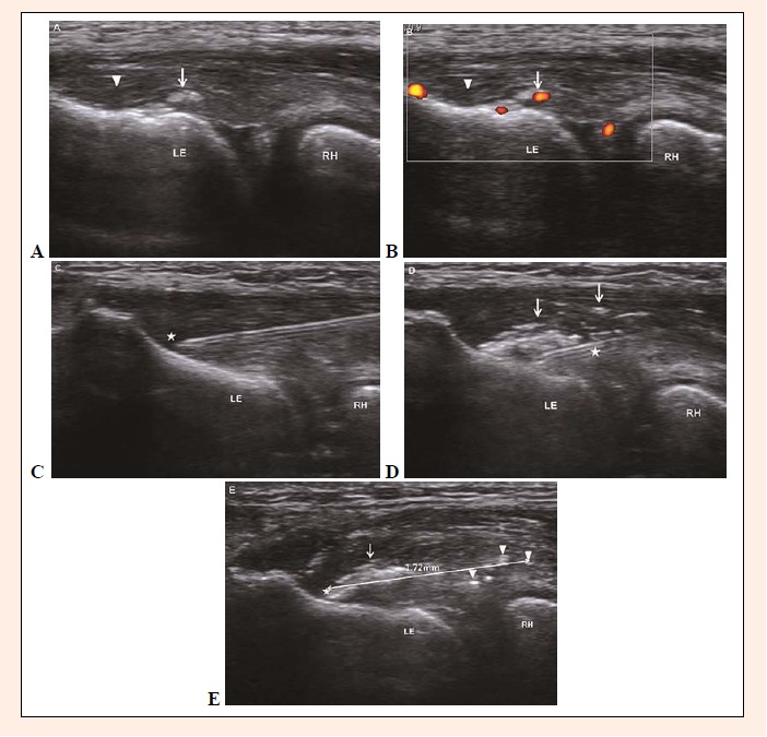 Figure 1.