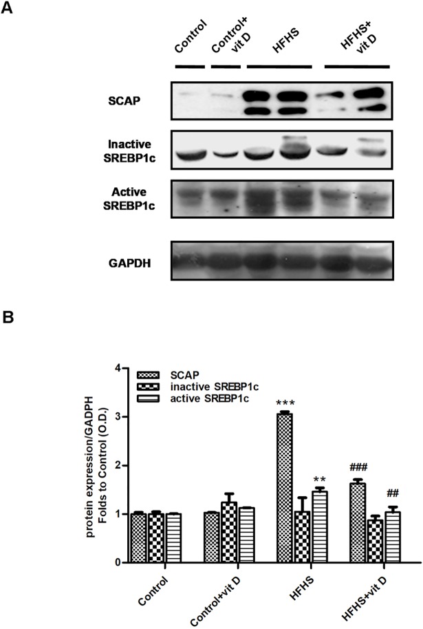 Fig 7