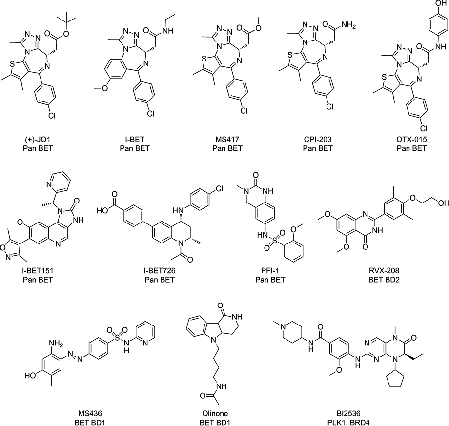 graphic file with name nihms-1596298-t0004.jpg