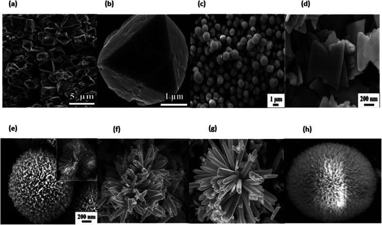 Fig. 15