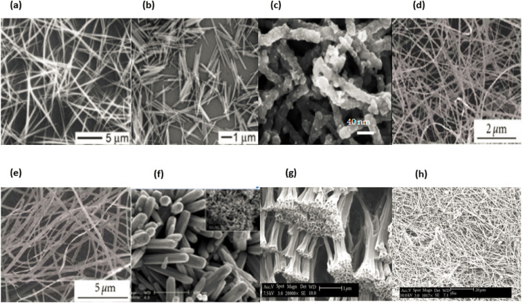 Fig. 13