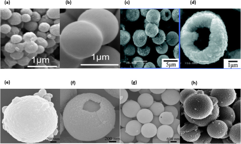 Fig. 25