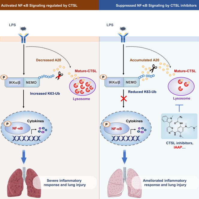 graphic file with name fx1.jpg