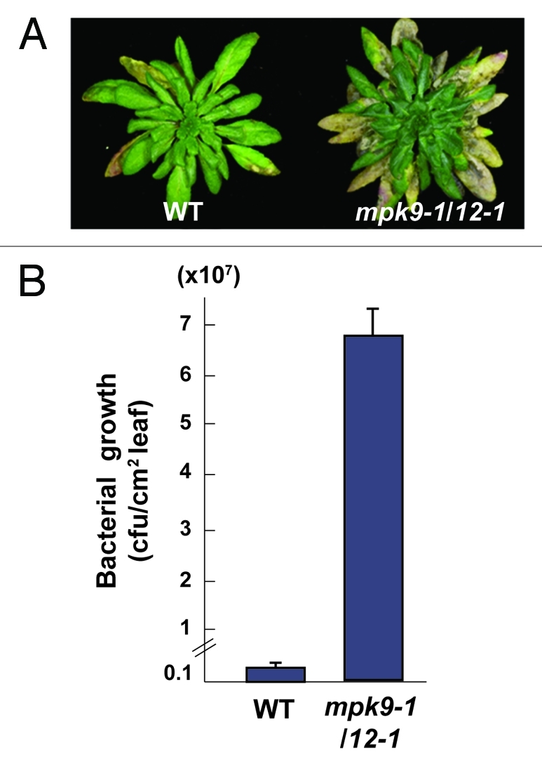 Figure 1.