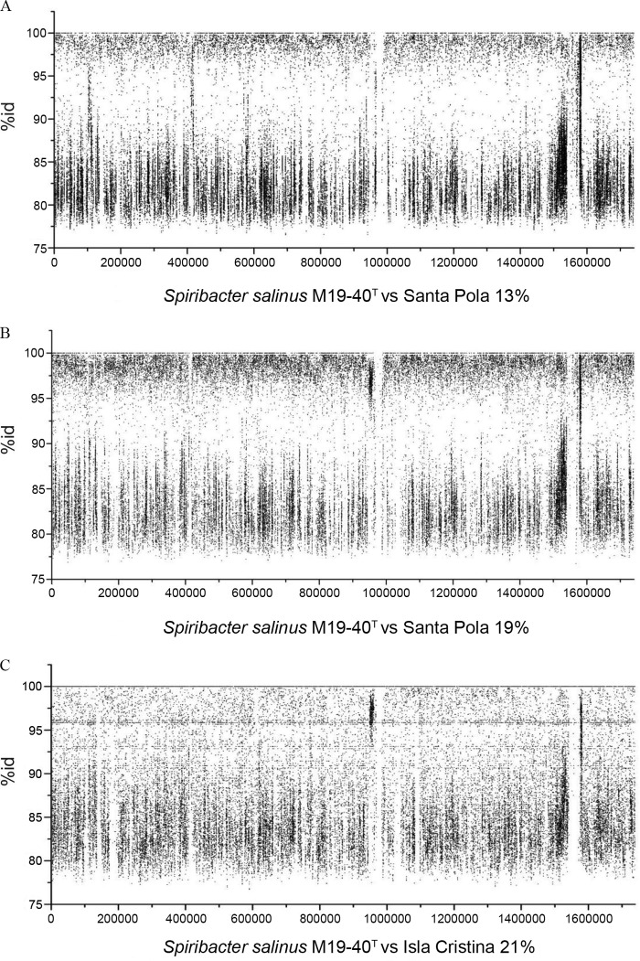 FIG 2