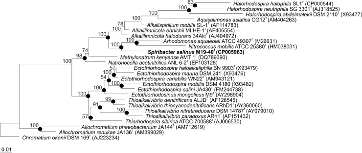 FIG 1