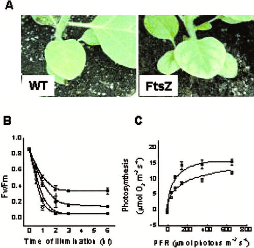 Figure 5