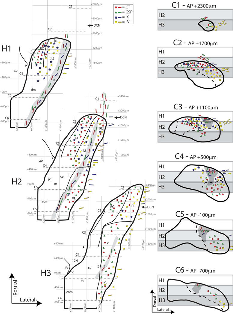 Figure 20