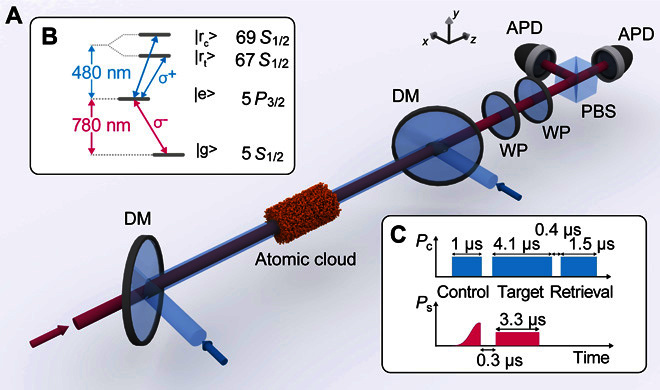 Fig. 1