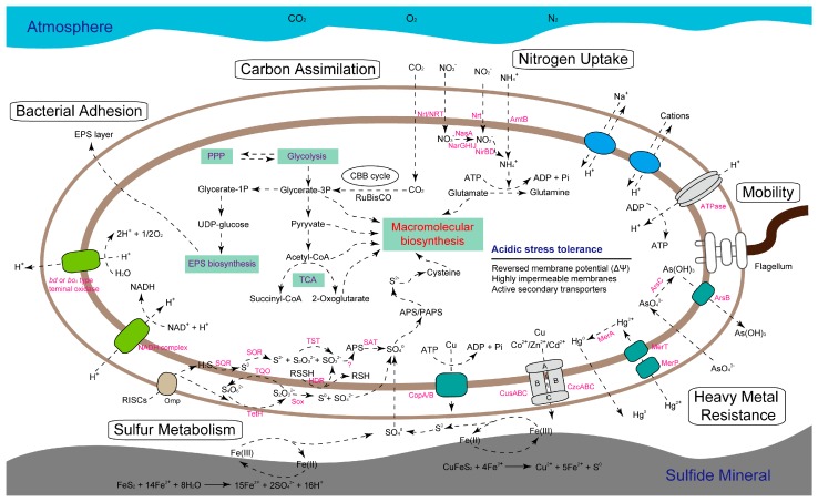 Figure 5