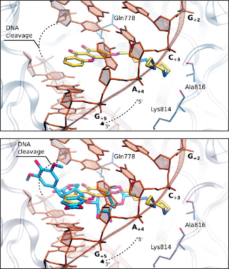 Fig. 11