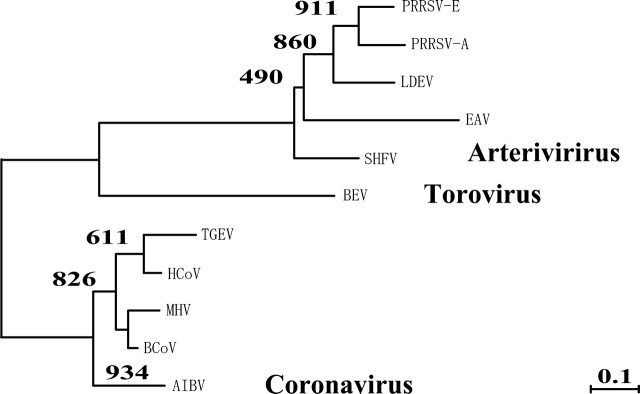 FIG. 2.—