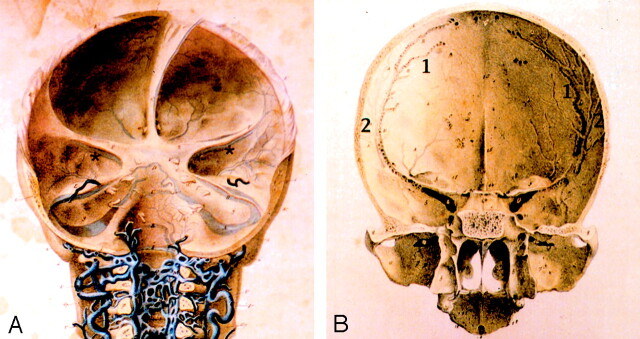 Fig 7.