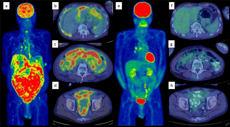 Fig. 1