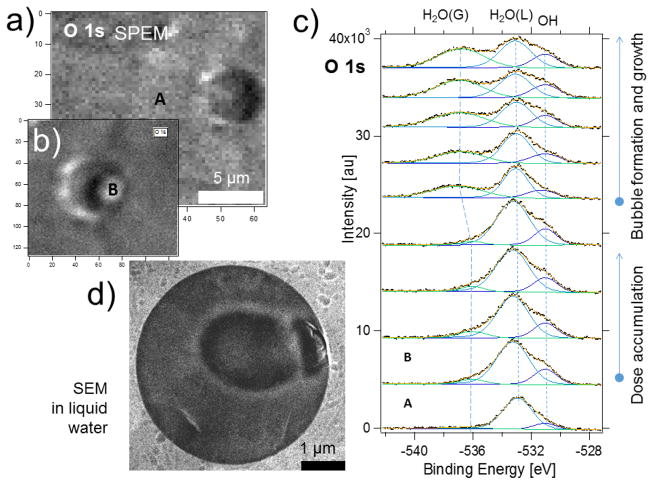 Fig. 11